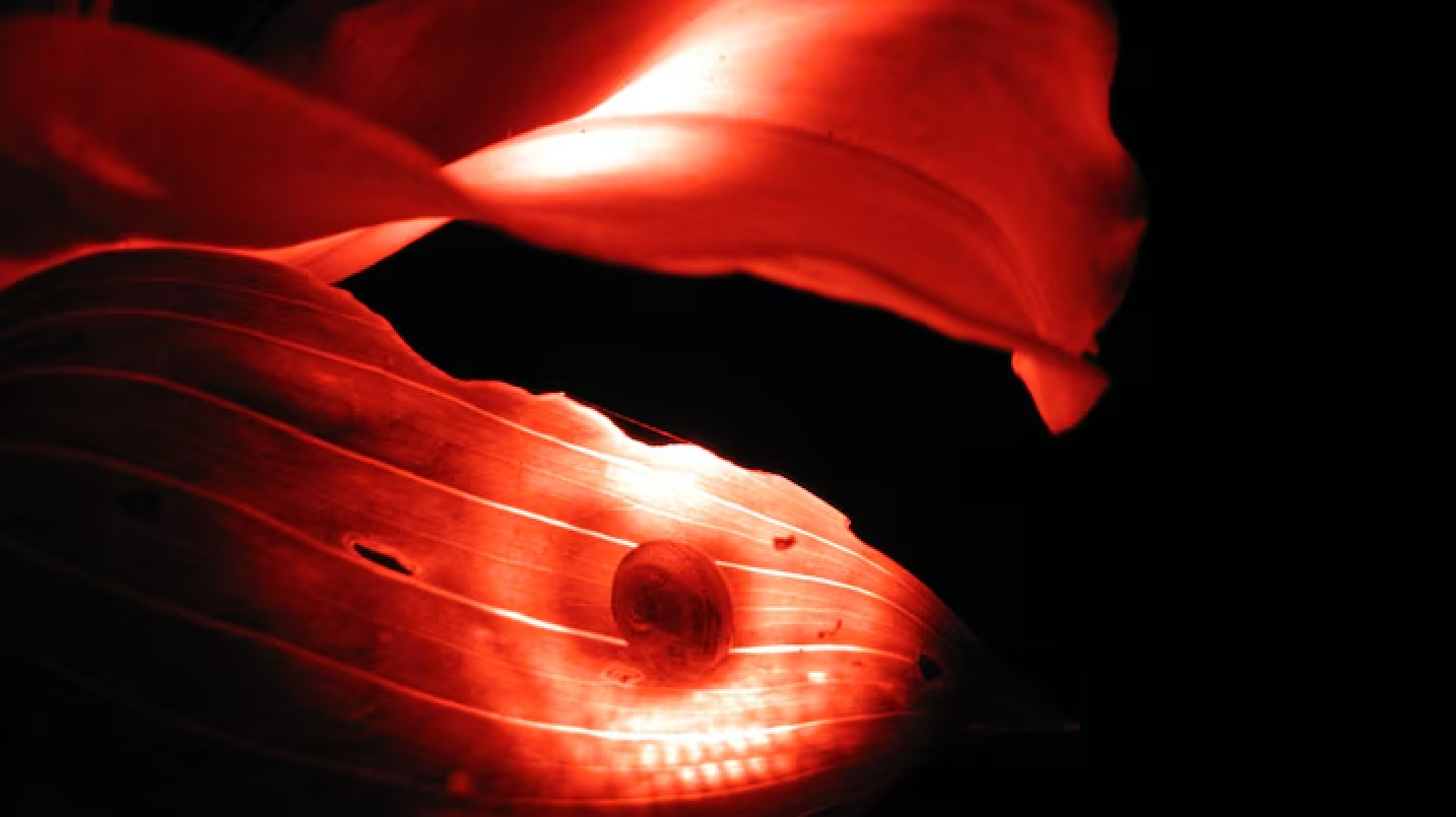 Flame Retardant Fabric: Explained by Fabric Experts