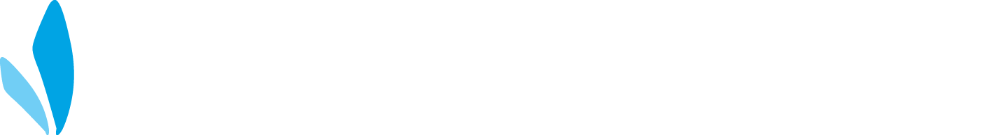 Bumbleride